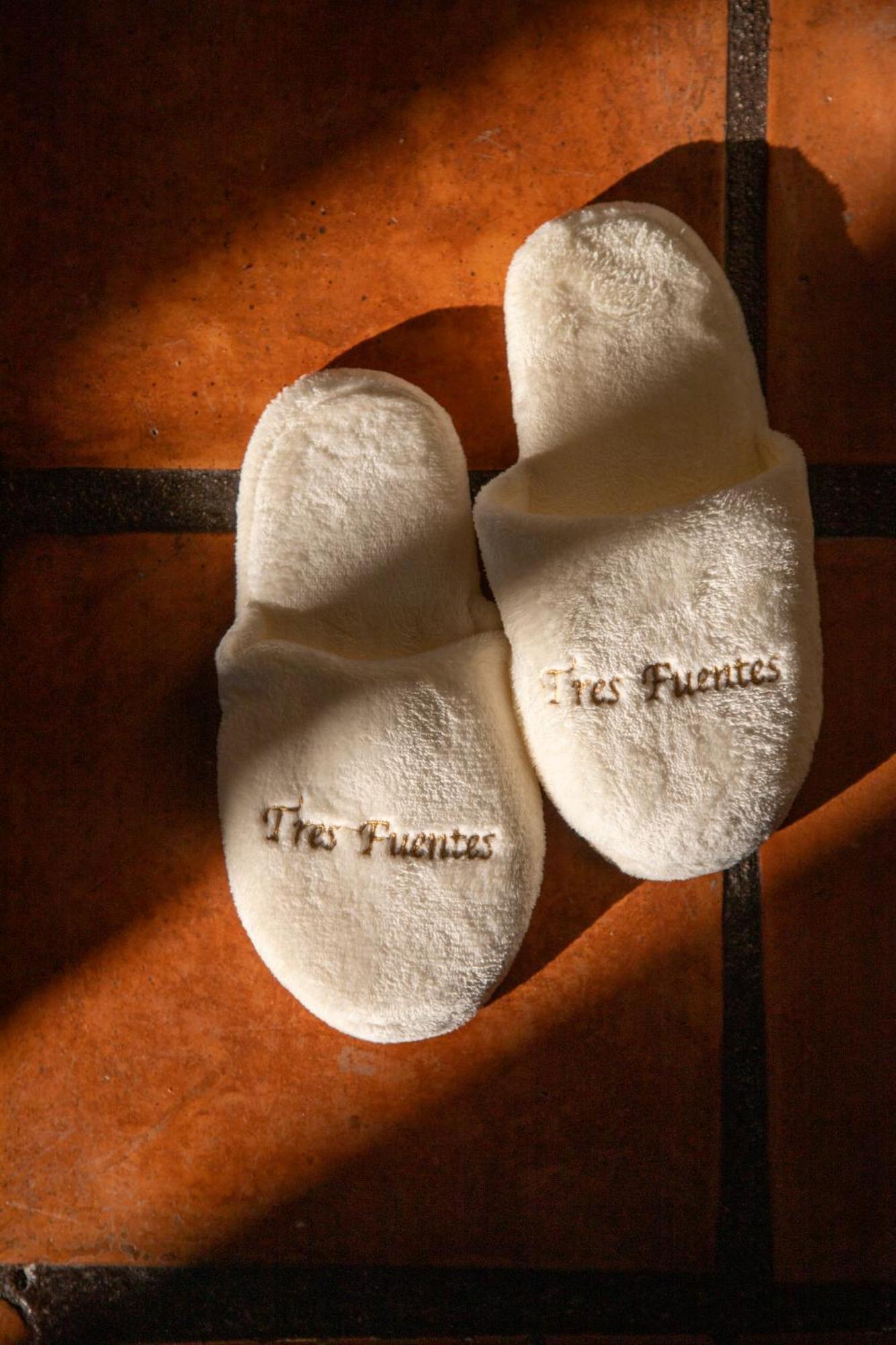 Tres Fuentes Dickinson Hotel Boutique سان ميغيل دي الليندي المظهر الخارجي الصورة